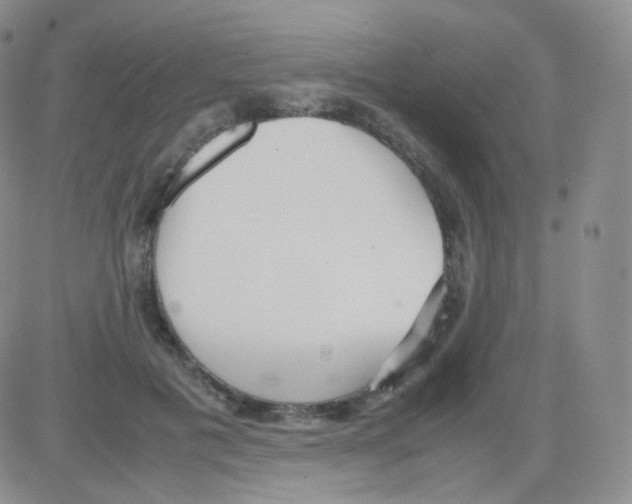 X0000082700601200702232232