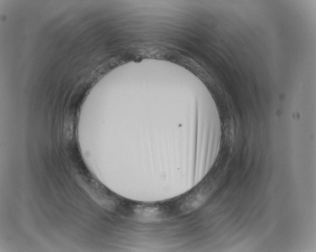 X0000082700602200702232232