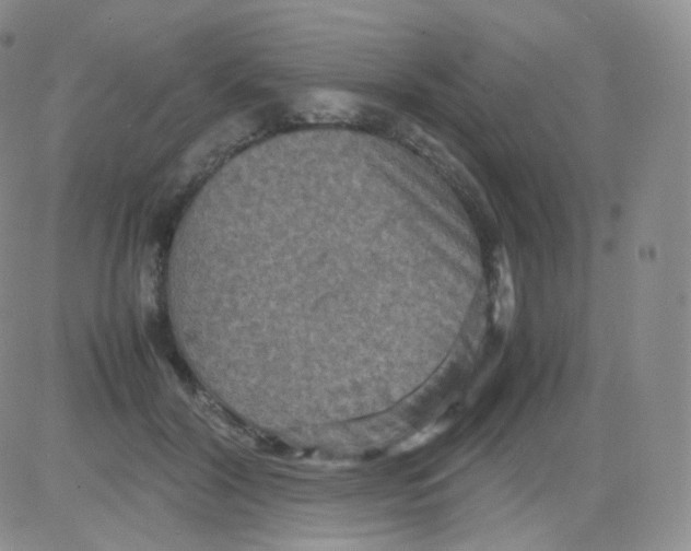 X0000082700604200702232232