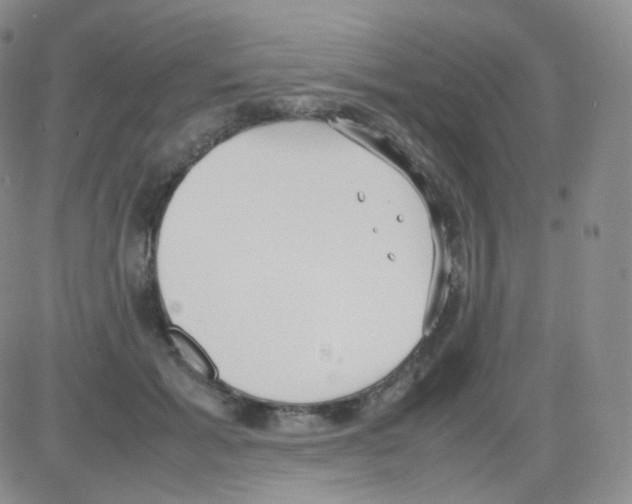 X0000082700605200702232232