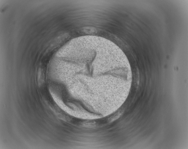 X0000082700606200702232232