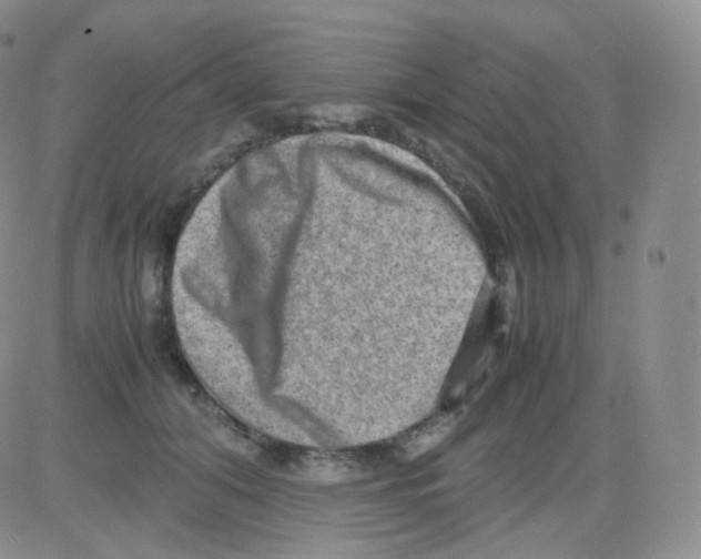 X0000082700608200702232232