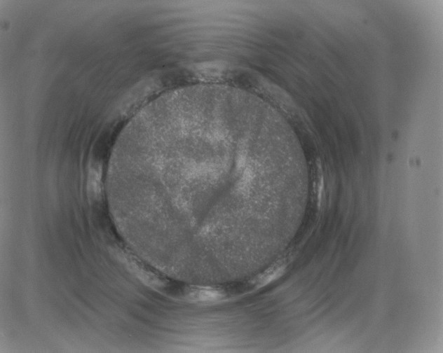 X0000082700610200702232232