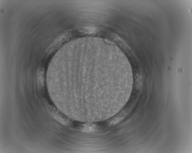 X0000082700612200702232232