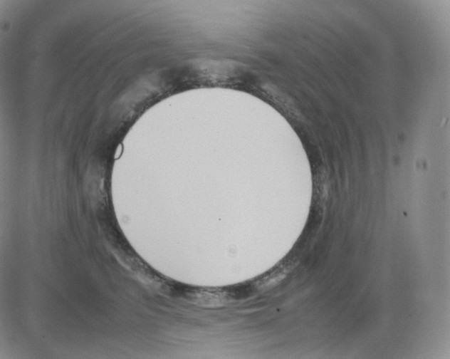 X0000082700615200702232232