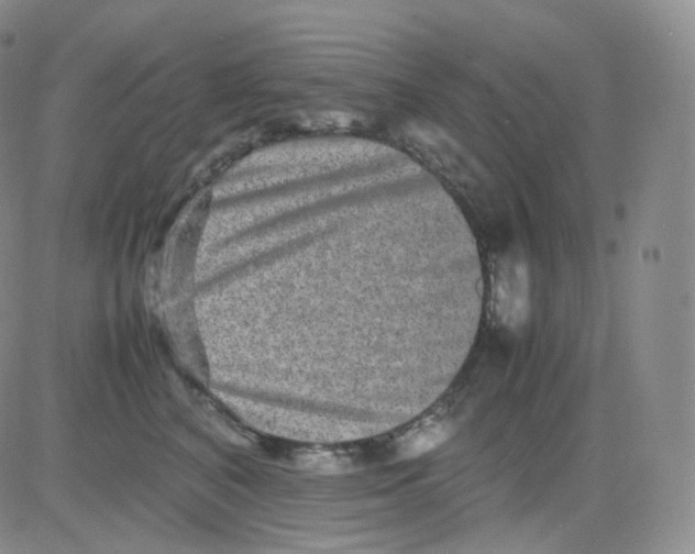 X0000082700616200702232232