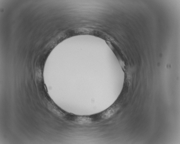 X0000082700617200702232232