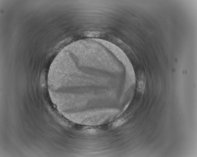 X0000082700620200702232232