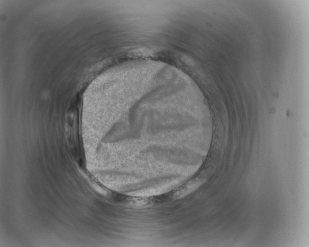 X0000082700624200702232232