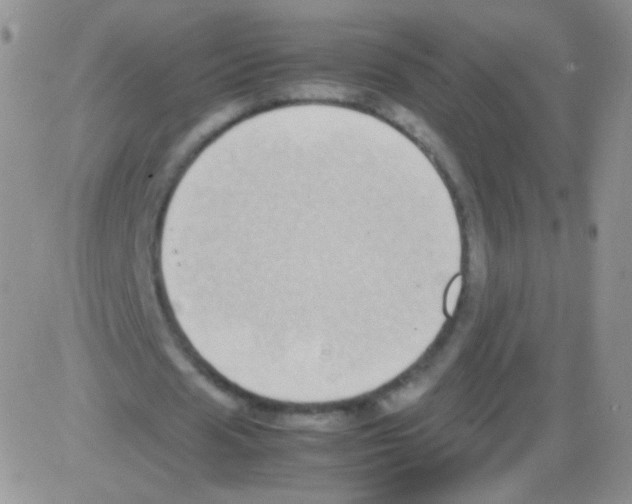 X0000082700625200702232231