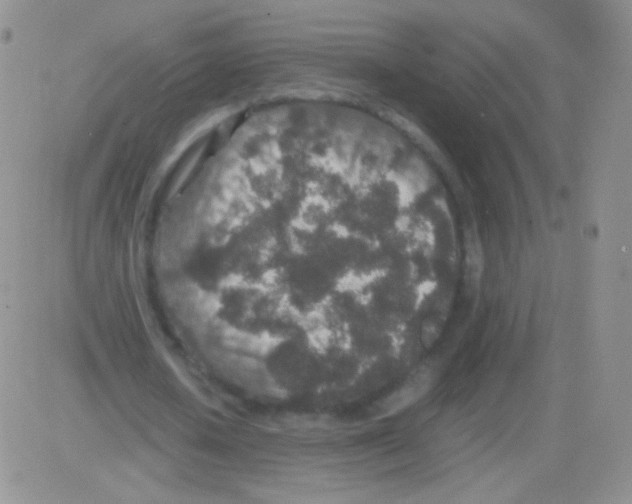 X0000082700626200702232231