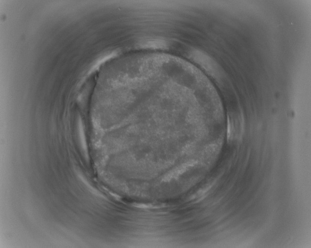 X0000082700627200702232231