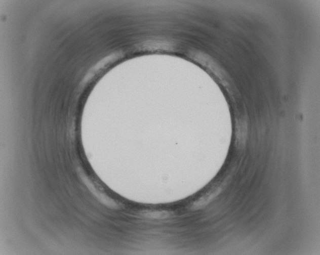 X0000082700629200702232231