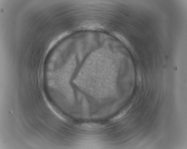 X0000082700630200702232231