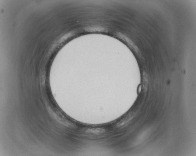 X0000082700631200702232231