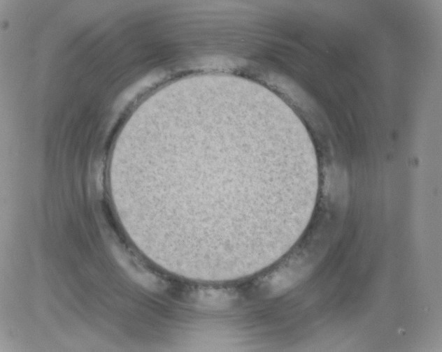 X0000082700632200702232231