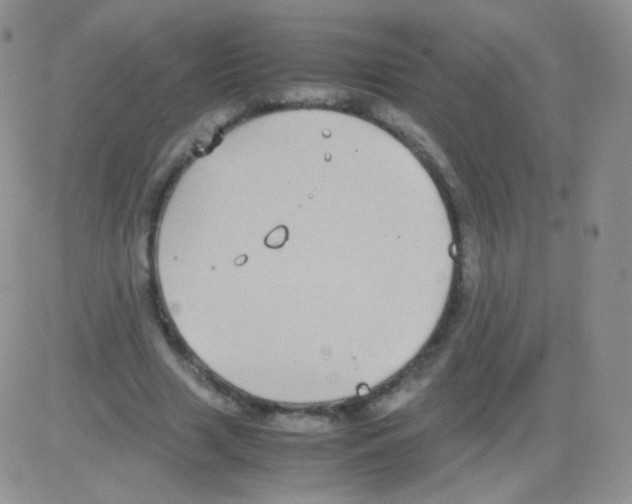 X0000082700633200702232231