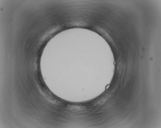 X0000082700635200702232231