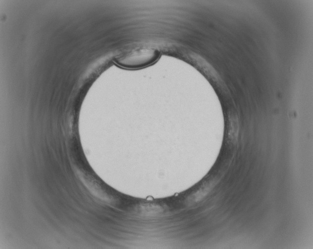 X0000082700636200702232231