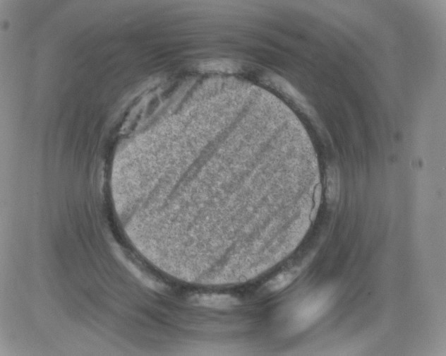 X0000082700637200702232231