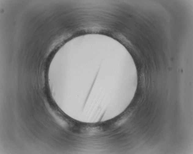 X0000082700638200702232231