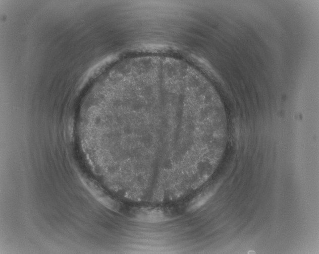 X0000082700640200702232231