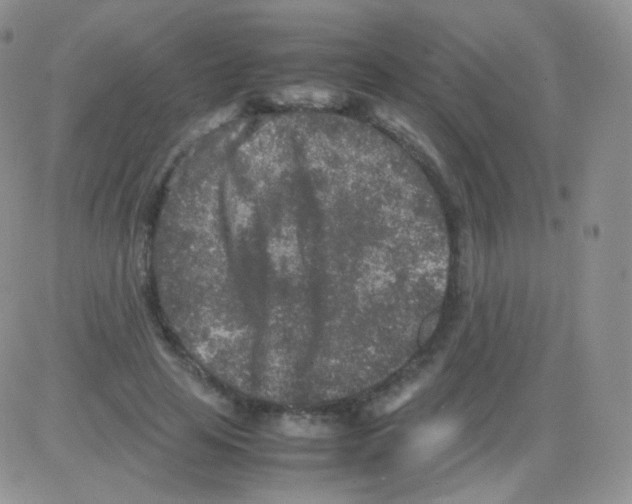 X0000082700641200702232231