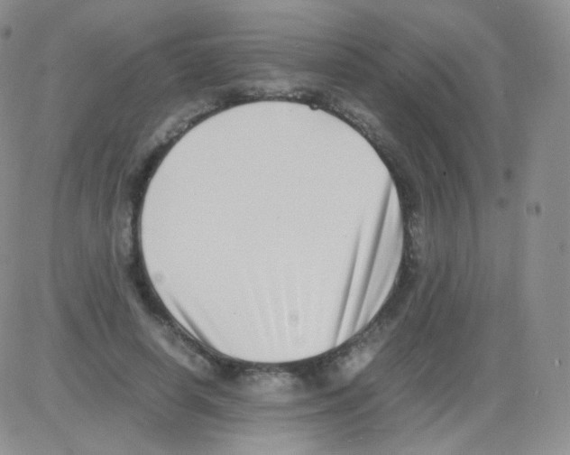 X0000082700642200702232231