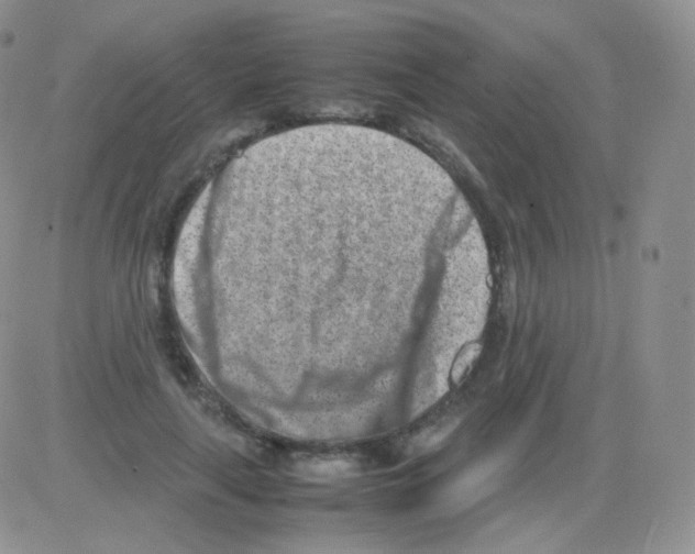 X0000082700643200702232231