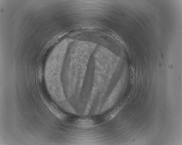 X0000082700644200702232231