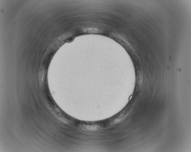 X0000082700645200702232231