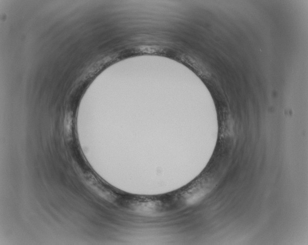 X0000082700646200702232231