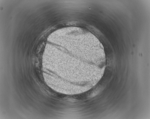 X0000082700648200702232231