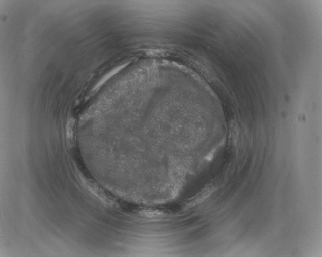 X0000082700650200702232231