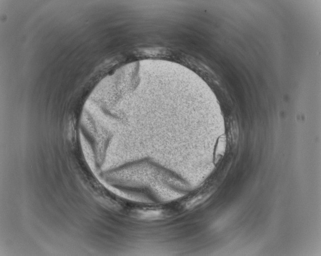 X0000082700651200702232231