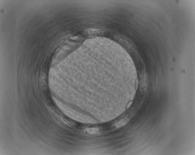 X0000082700653200702232231