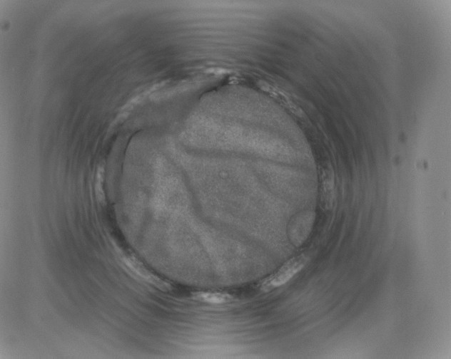 X0000082700654200702232231