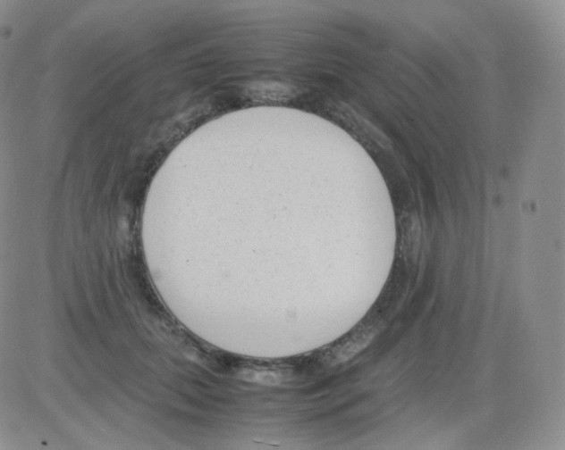 X0000082700655200702232231