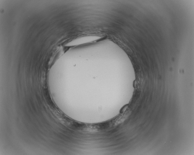 X0000082700656200702232231