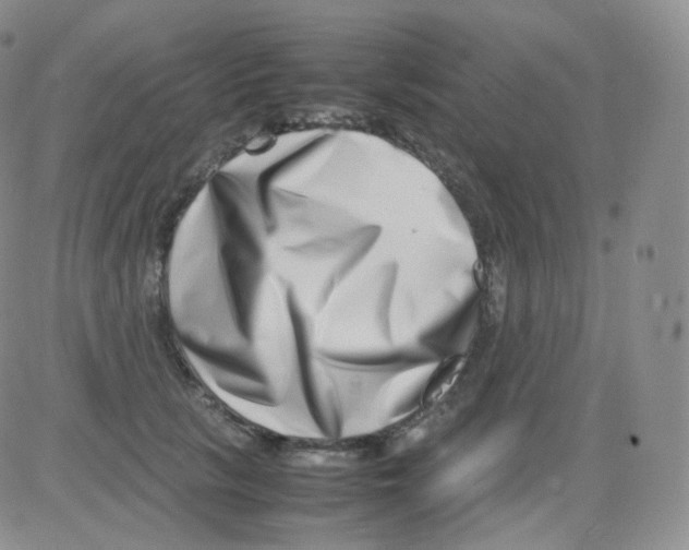 X0000082700657200702232231