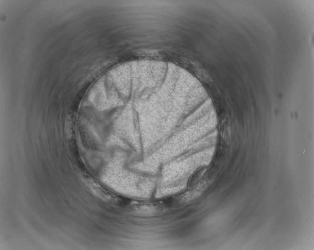 X0000082700658200702232231