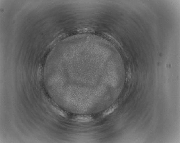 X0000082700659200702232231