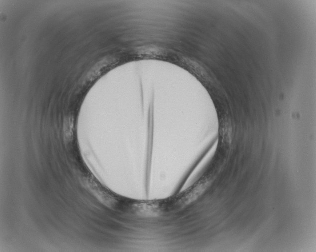 X0000082700660200702232231