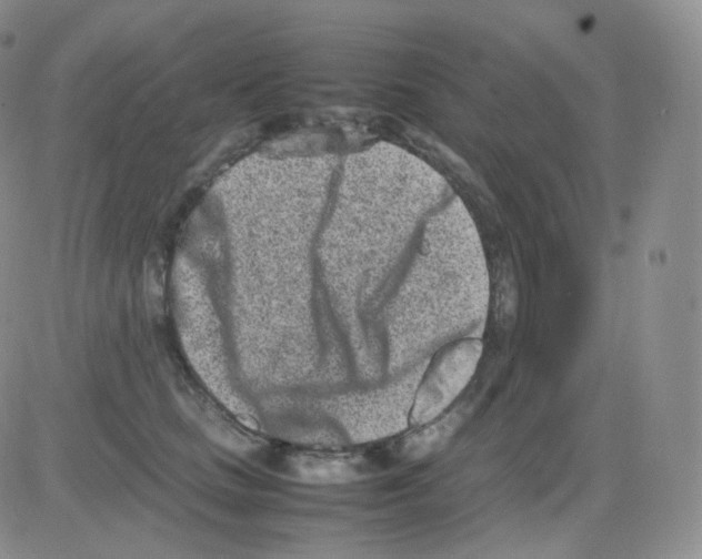 X0000082700661200702232231