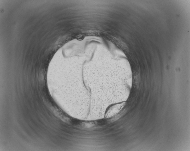 X0000082700662200702232231