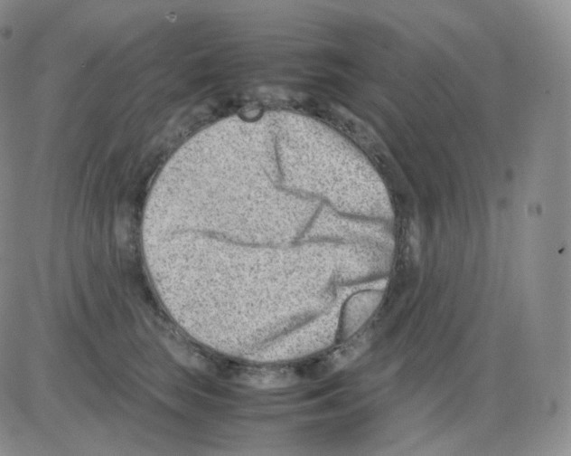 X0000082700663200702232231