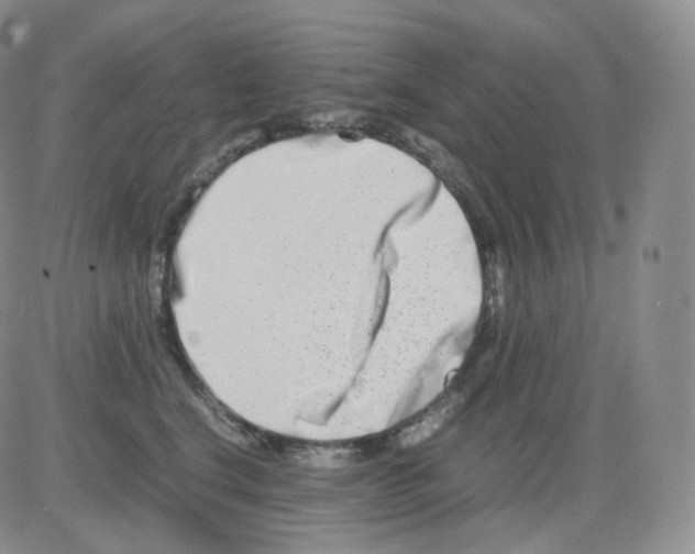 X0000082700664200702232231