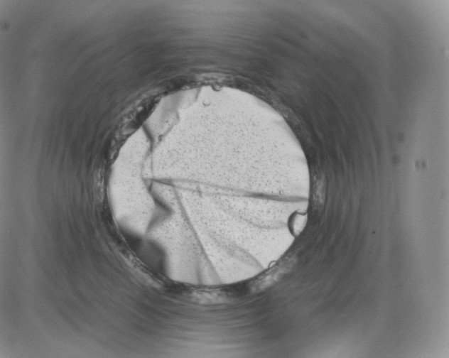 X0000082700666200702232231