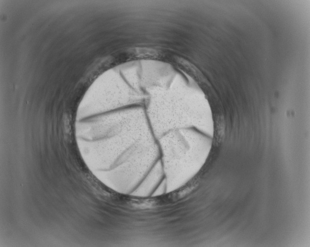 X0000082700667200702232232