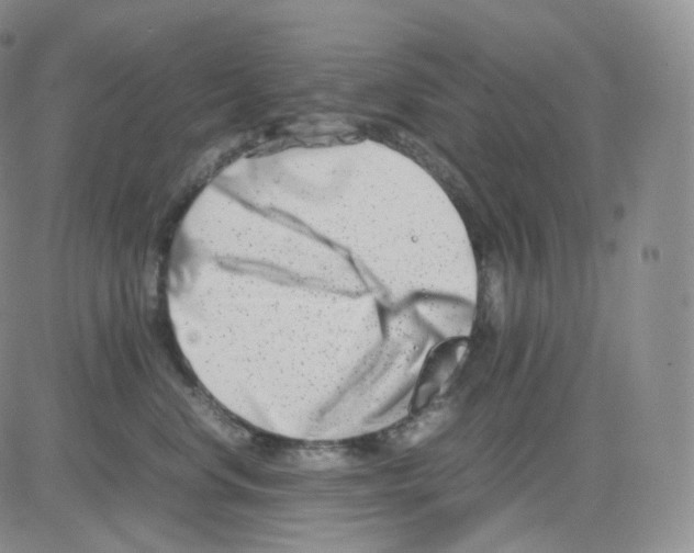 X0000082700668200702232232